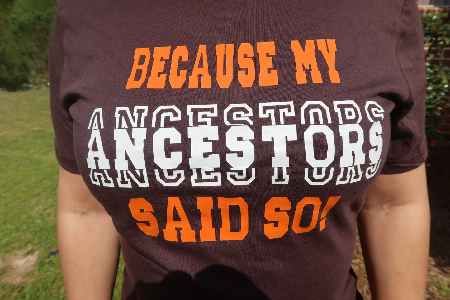 My Ancestors Women's T-Shirt